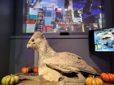 Warner Bros. Studio Tour London