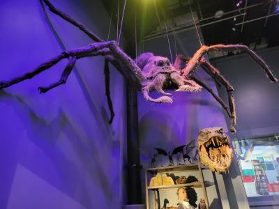 Warner Bros. Studio Tour London