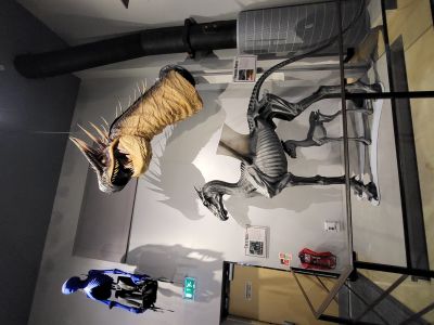 Warner Bros. Studio Tour London