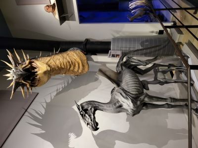 Warner Bros. Studio Tour London