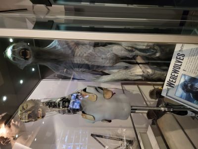 Warner Bros. Studio Tour London