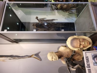 Warner Bros. Studio Tour London