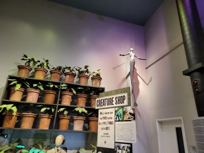 Warner Bros. Studio Tour London