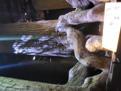 Warner Bros. Studio Tour London