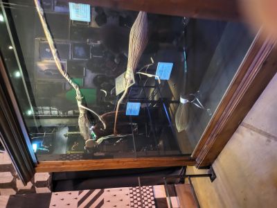 Warner Bros. Studio Tour London