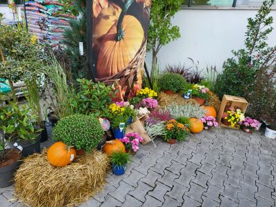 Restaurace Chládek