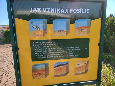 DinoPark Harfa Praha