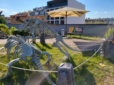 DinoPark Harfa Praha