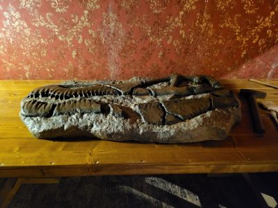 DinoPark Harfa Praha