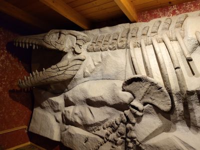 DinoPark Harfa Praha