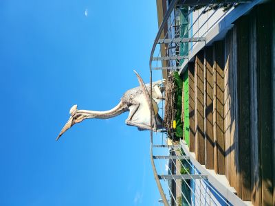 DinoPark Harfa Praha