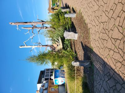 DinoPark Harfa Praha