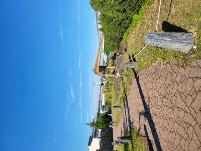 DinoPark Harfa Praha