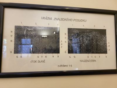 Kostel Nanebevzetí Panny Marie a sv. Karla Velikého