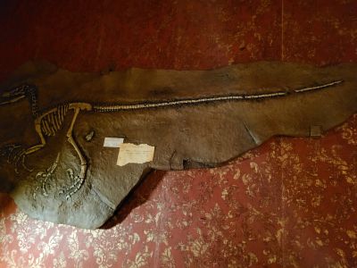 DinoPark Harfa Praha