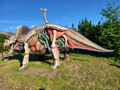 DinoPark Harfa Praha