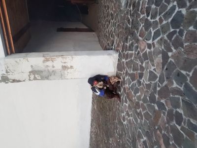 Slezskoostravský hrad
