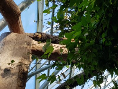 ZOO a zámek Zlín-Lešná