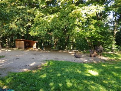 ZOO a zámek Zlín-Lešná