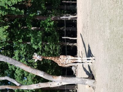ZOO a zámek Zlín-Lešná