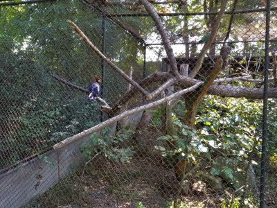 ZOO a zámek Zlín-Lešná