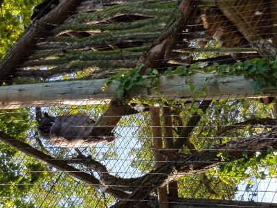 ZOO a zámek Zlín-Lešná