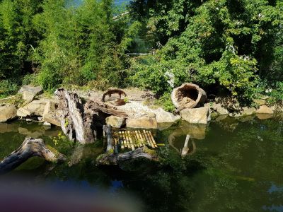 ZOO a zámek Zlín-Lešná