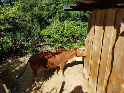 ZOO a zámek Zlín-Lešná