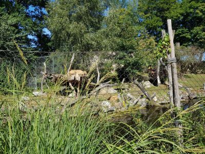 ZOO a zámek Zlín-Lešná