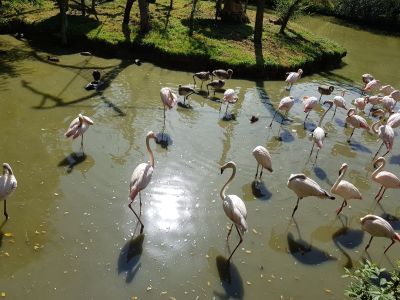 ZOO a zámek Zlín-Lešná