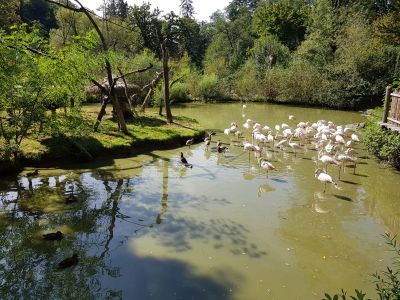 ZOO a zámek Zlín-Lešná