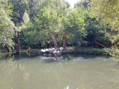 ZOO a zámek Zlín-Lešná