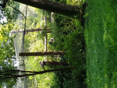 ZOO a zámek Zlín-Lešná