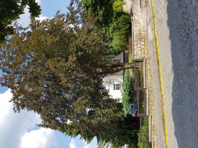 Hotel Lužná