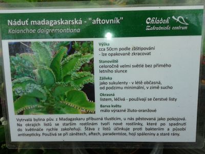 Zahradnictví Chládek