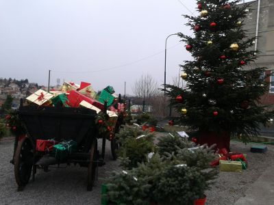Zahradnictví Chládek