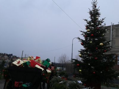 Zahradnictví Chládek