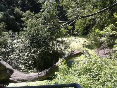 DinoPark Ostrava