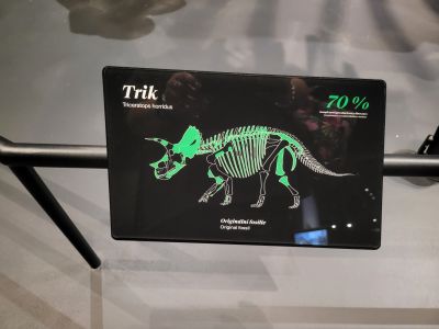 Dinosauria Museum Prague