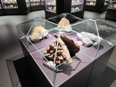 Dinosauria Museum Prague