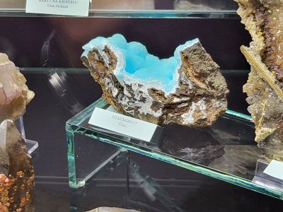 Dinosauria Museum Prague