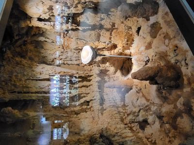 Dinosauria Museum Prague
