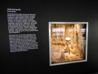Dinosauria Museum Prague