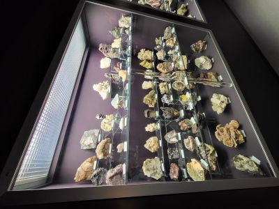 Dinosauria Museum Prague