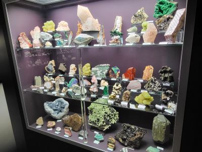 Dinosauria Museum Prague