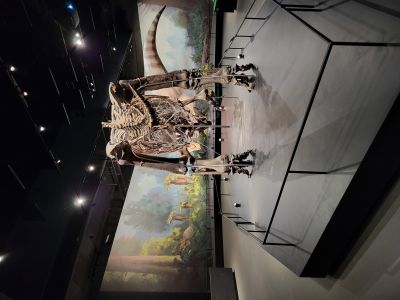 Dinosauria Museum Prague