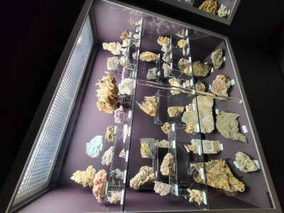 Dinosauria Museum Prague