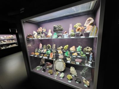 Dinosauria Museum Prague
