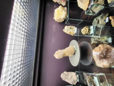 Dinosauria Museum Prague