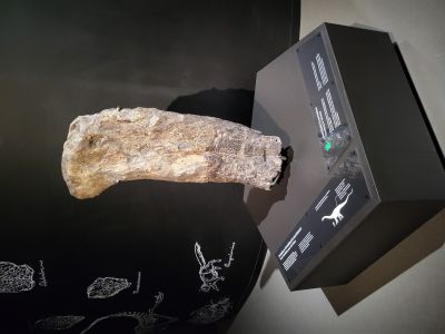 Dinosauria Museum Prague